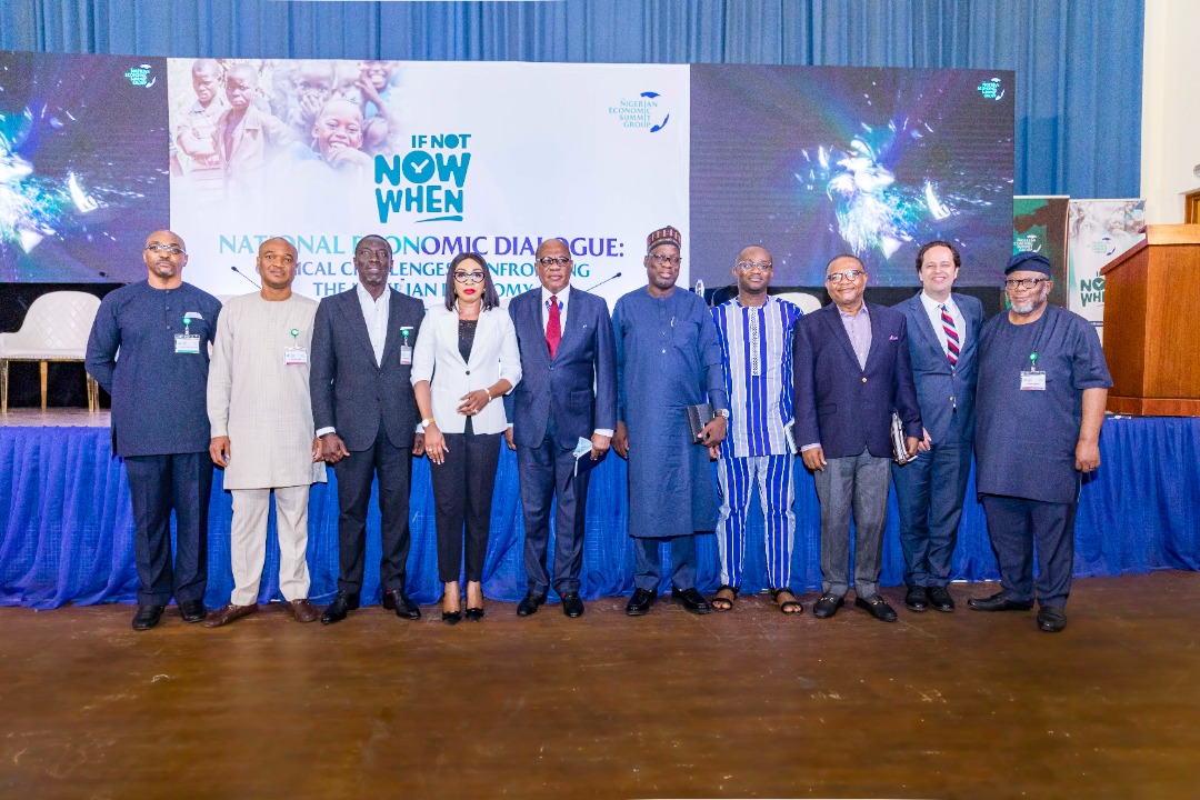 2023 polls: NESG proposes 6-point agenda for political leadership,  The Nigerian Economic Summit Group